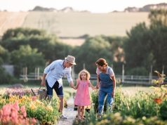 Révolutionnez votre espace vert : les techniques incontournables pour un jardin parfait! Jardin