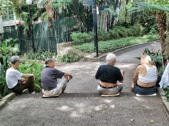 Verdure éclatante : Les astuces imparables pour un entretien de jardin réussi le-jardin